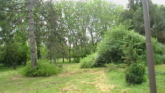 Шуточная песенка - Вы Крым еще не видали...