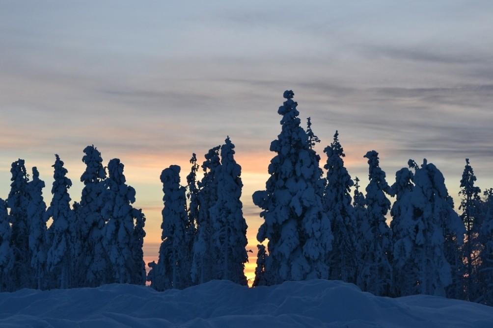 Январский этюд.