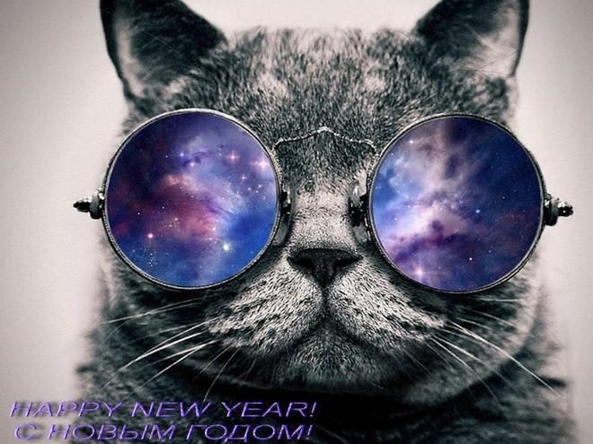 Серия... Диалоги с... Небом.... Сказы. Земная... Корона...