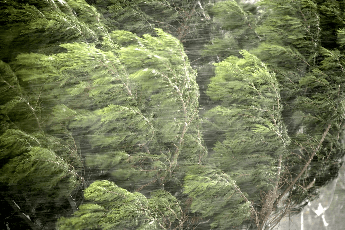 НИОТКУДА  ВЕТЕР  НАЛЕТЕЛ