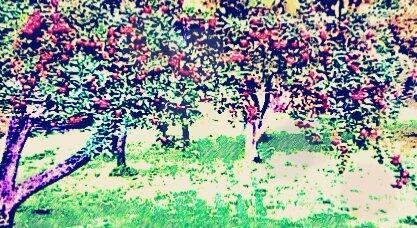 Труд и веселье!