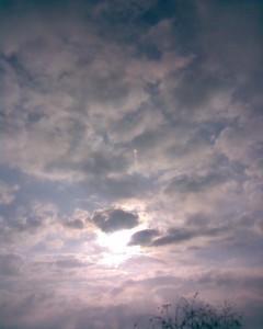 Стих звезде