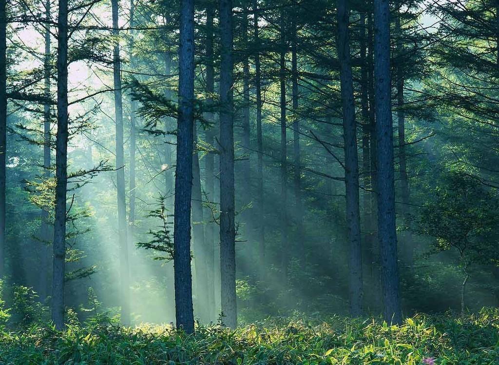 *Я в турции не был ни разу,признаюсь *