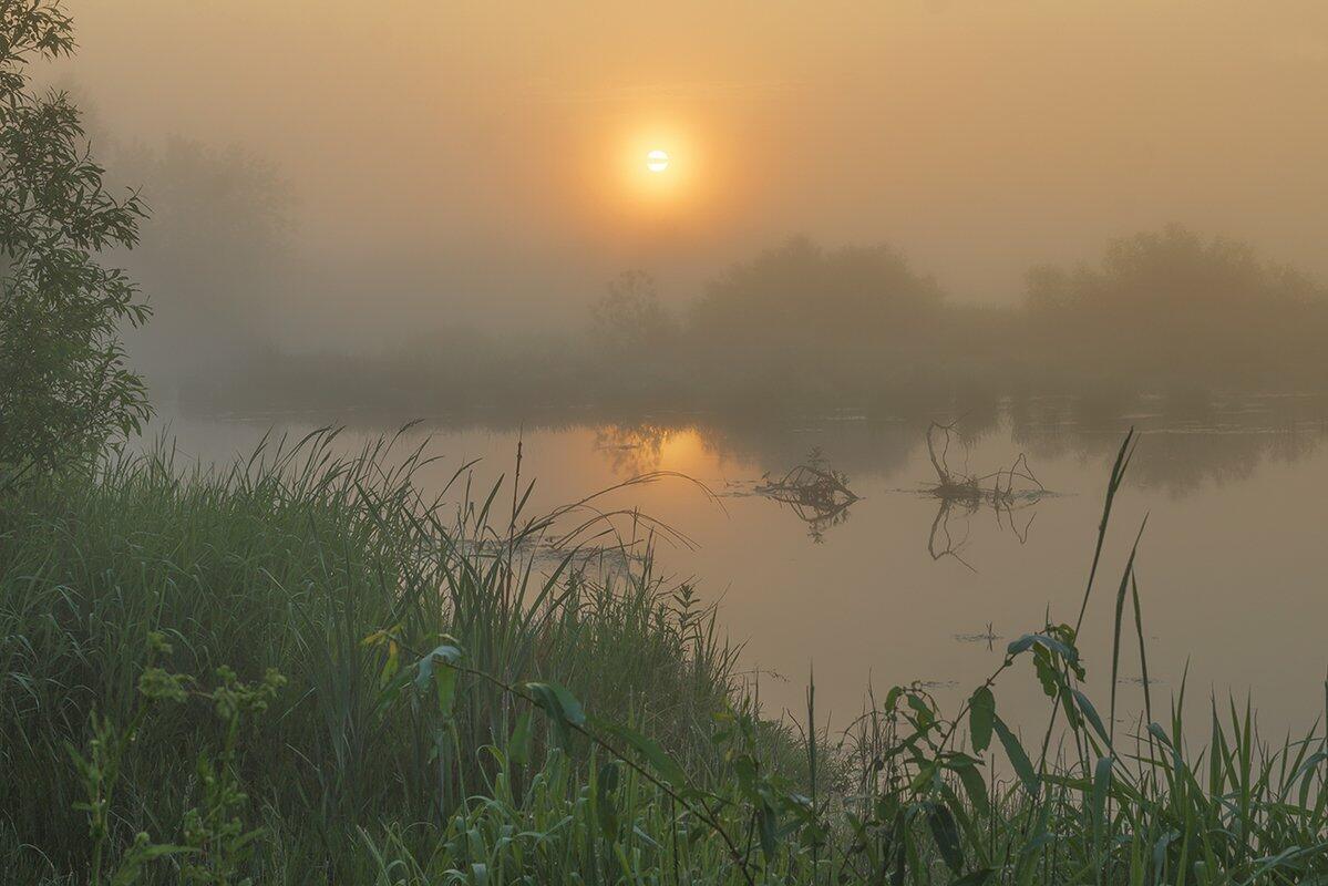 Паустовский туман. Утренний туман на реке. Утро лето. Рассвет река туман. Летний рассвет над рекой.