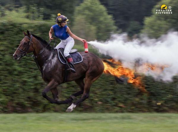 эх вы кони залетные