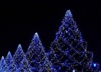 Сад в гирляндах