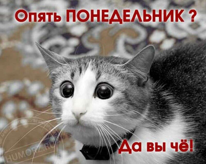 С ПОНЕДЕЛЬНИКА НАЧНУ