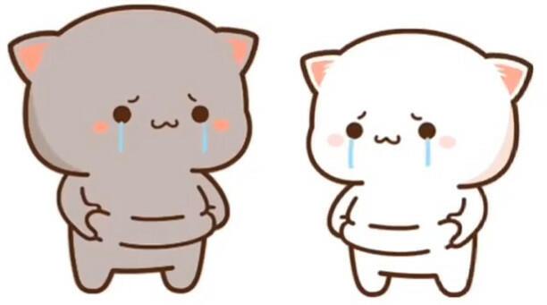 Жирненькое