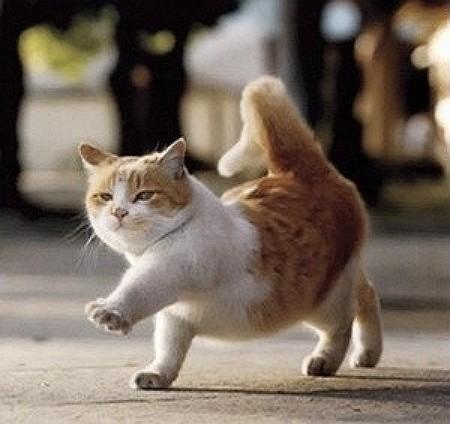 ПОСЛАЛИ Б ДАЛЕКО ! (валик)