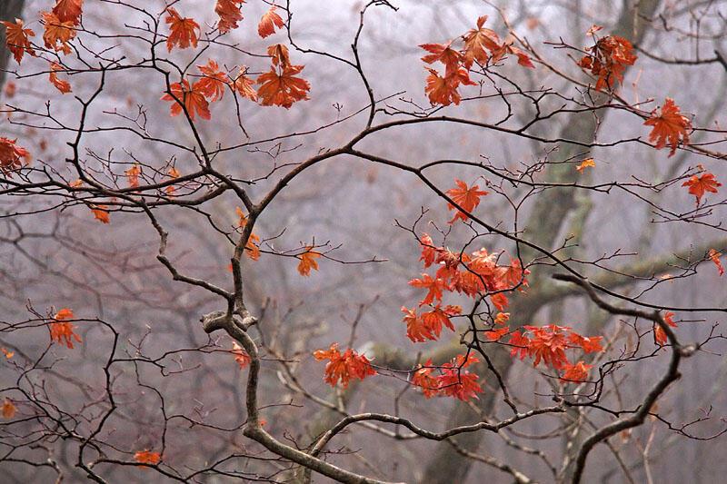 Задует.. Завеет 
