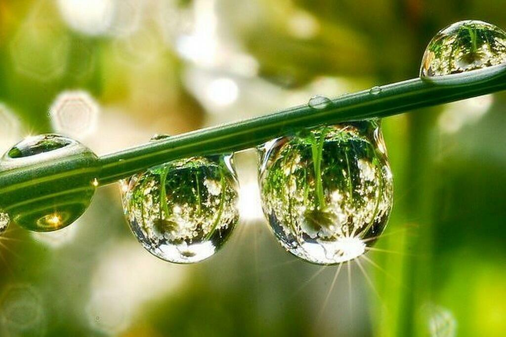 ЧЬЯ  ТЫ  КАПЕЛЬКА  ДОЖДЯ