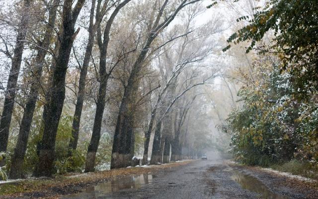 Осень краски развела