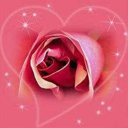 В НАШЕМ ОГРОМНОМ СЕРДЦЕ...