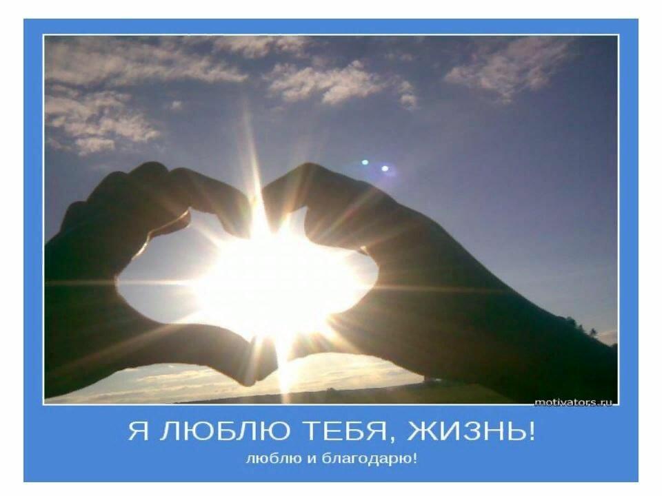 Полюбить эту жизнь...