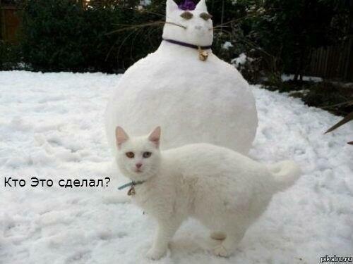 Кот и снеговик