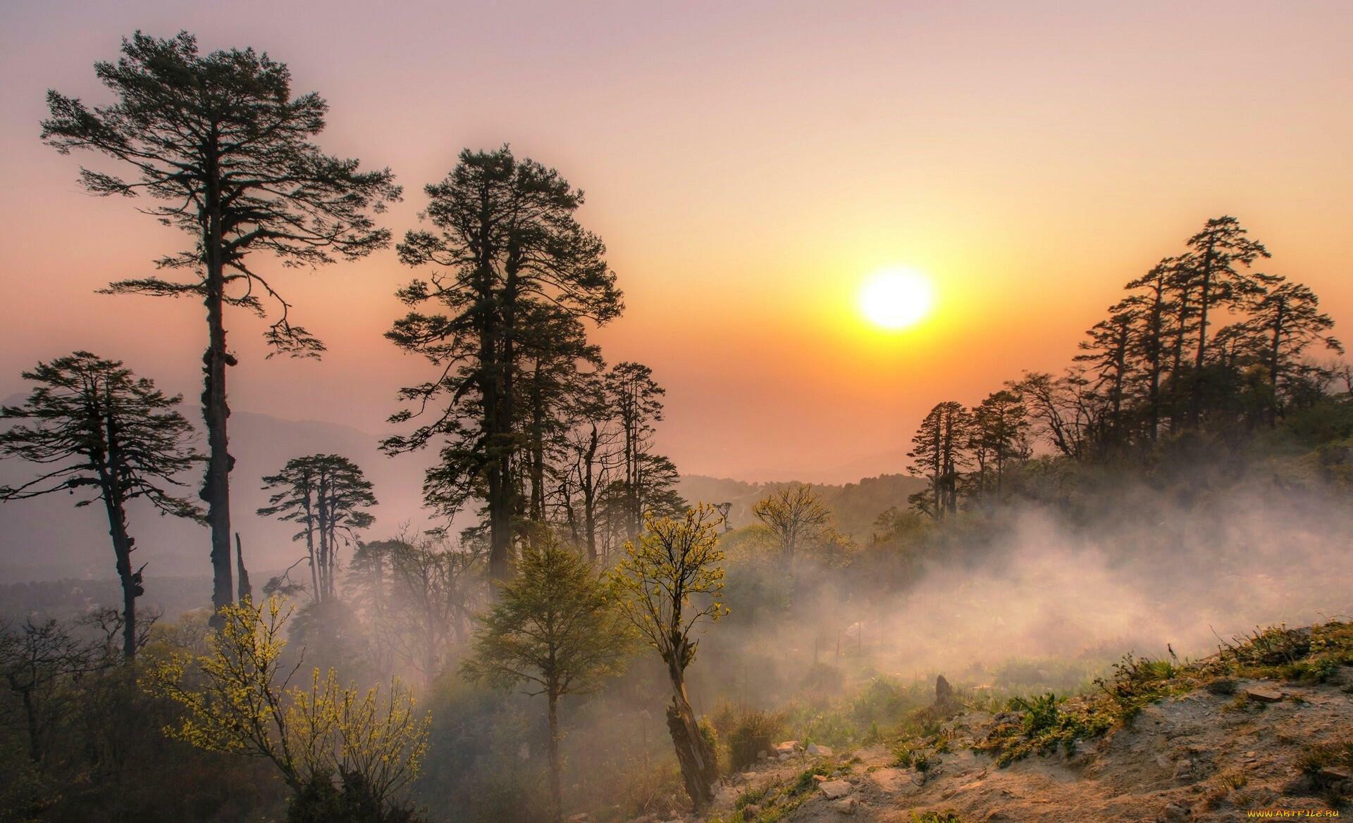 ВЕСЕННЕЕ  УТРО  В  ТУМАНЕ  ПРОСНУЛОСЬ