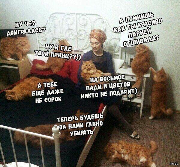 Кошатница