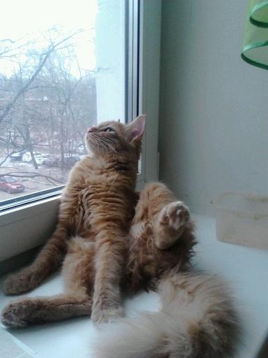 Хочется мне... быть честным.