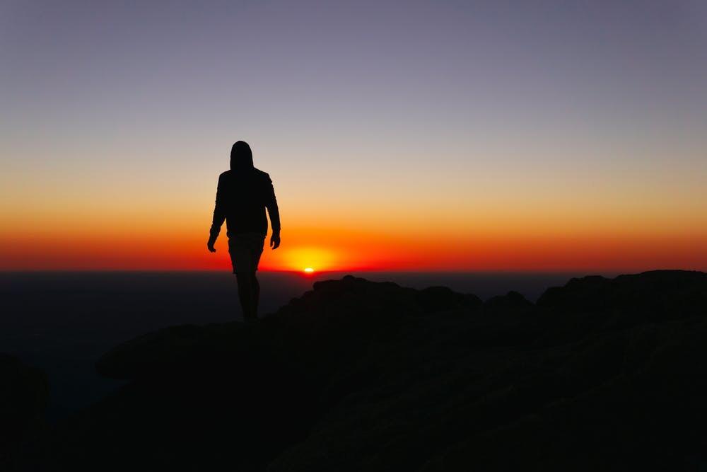 Я хочу приблизиться к жизни.