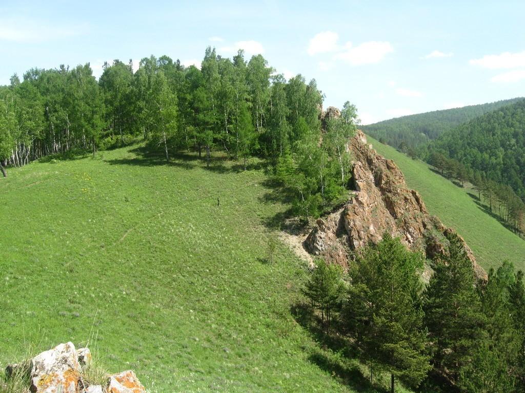 Синильга