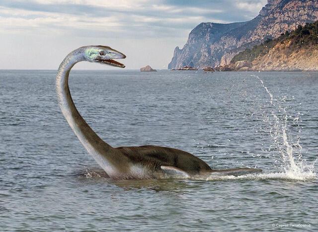 КАРАДАГСКИЙ ЗМЕЙ ПРОСНУЛСЯ...