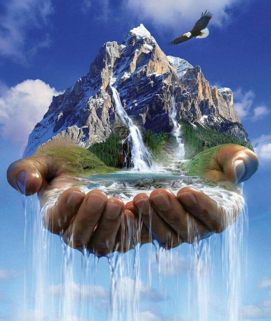 Наша жизнь…