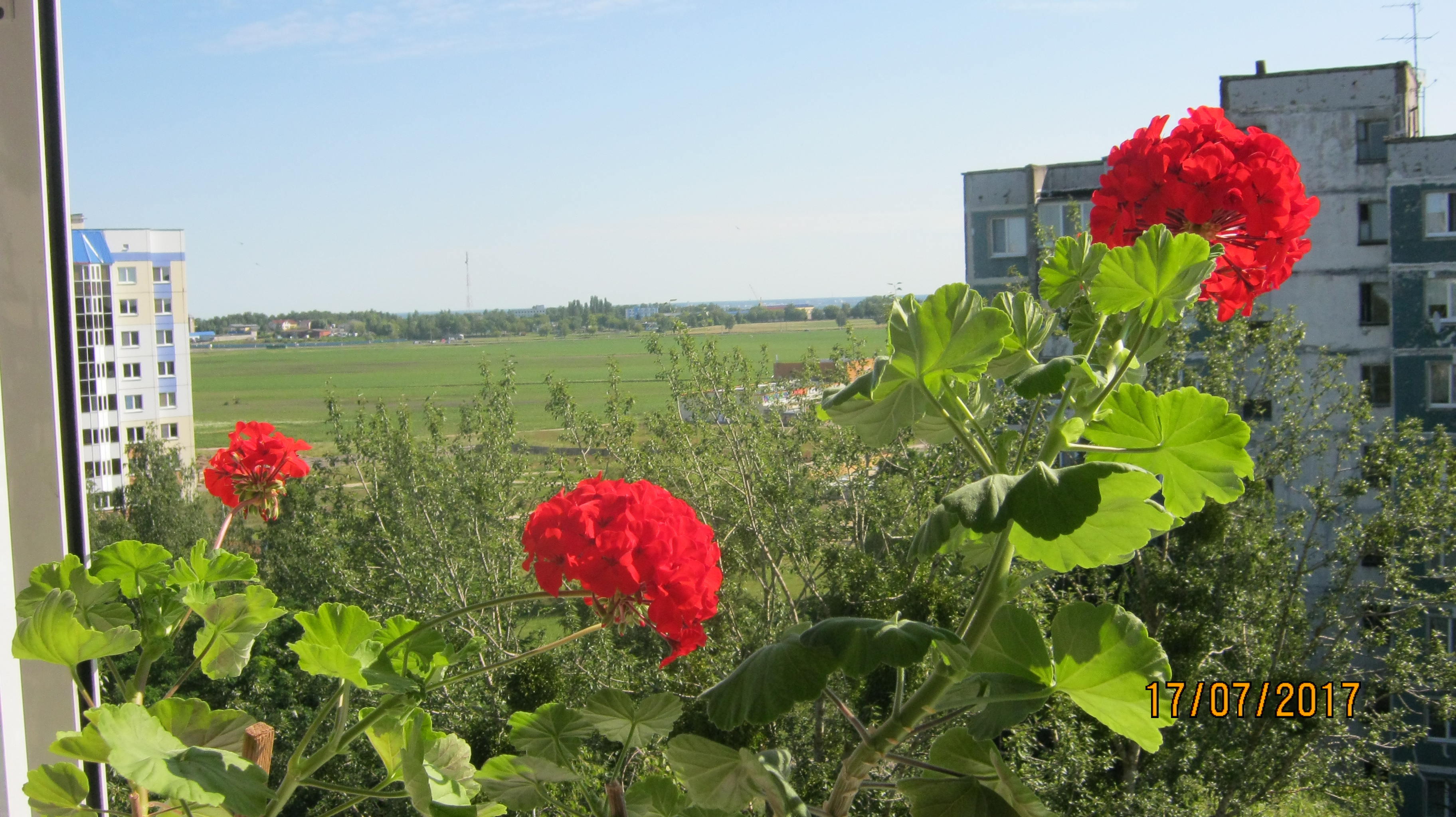 В МОРЕ ВРЕМЕНИ
