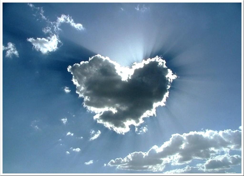 Любовь не умирает