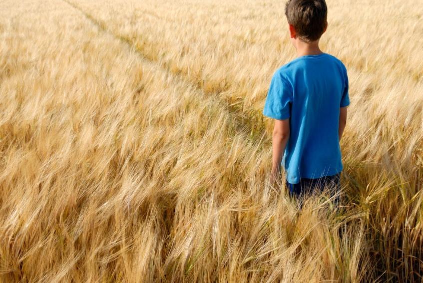 Солнце светит в глаза...