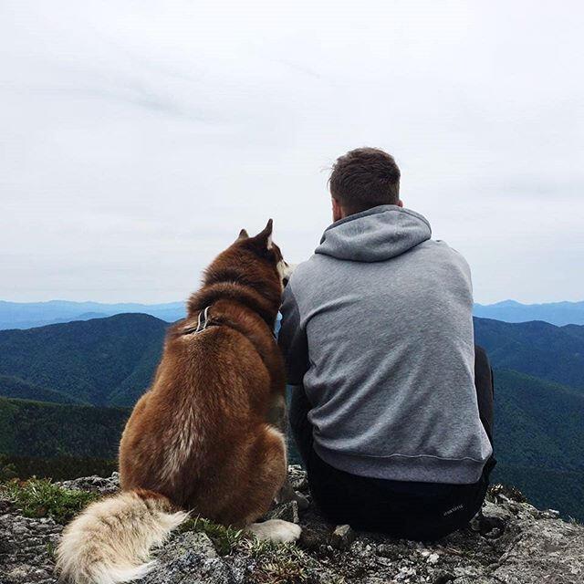 БЫВАЕТ   СЕРДЦЕ   ПОЗОВЁТ