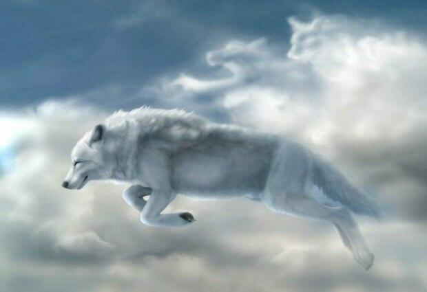 Время Белых Волков