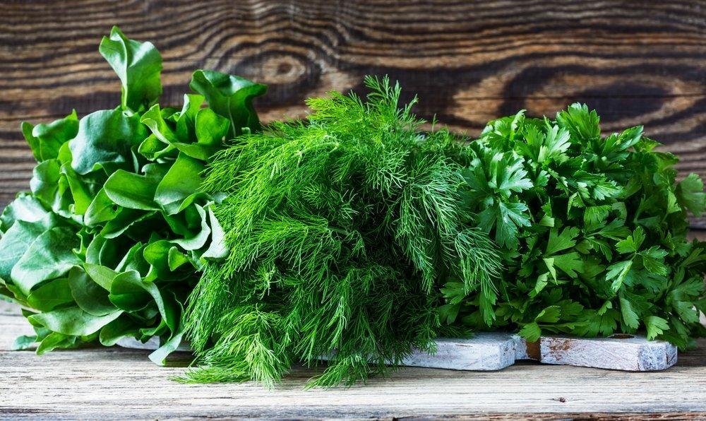 ЗЕЛЁНЫЕ ЧАСТУШКИ