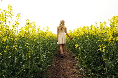 Песня в поле