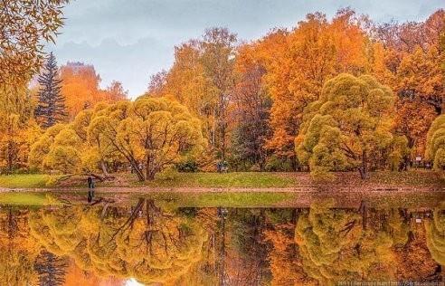 Я сошью себе платье из ситца.