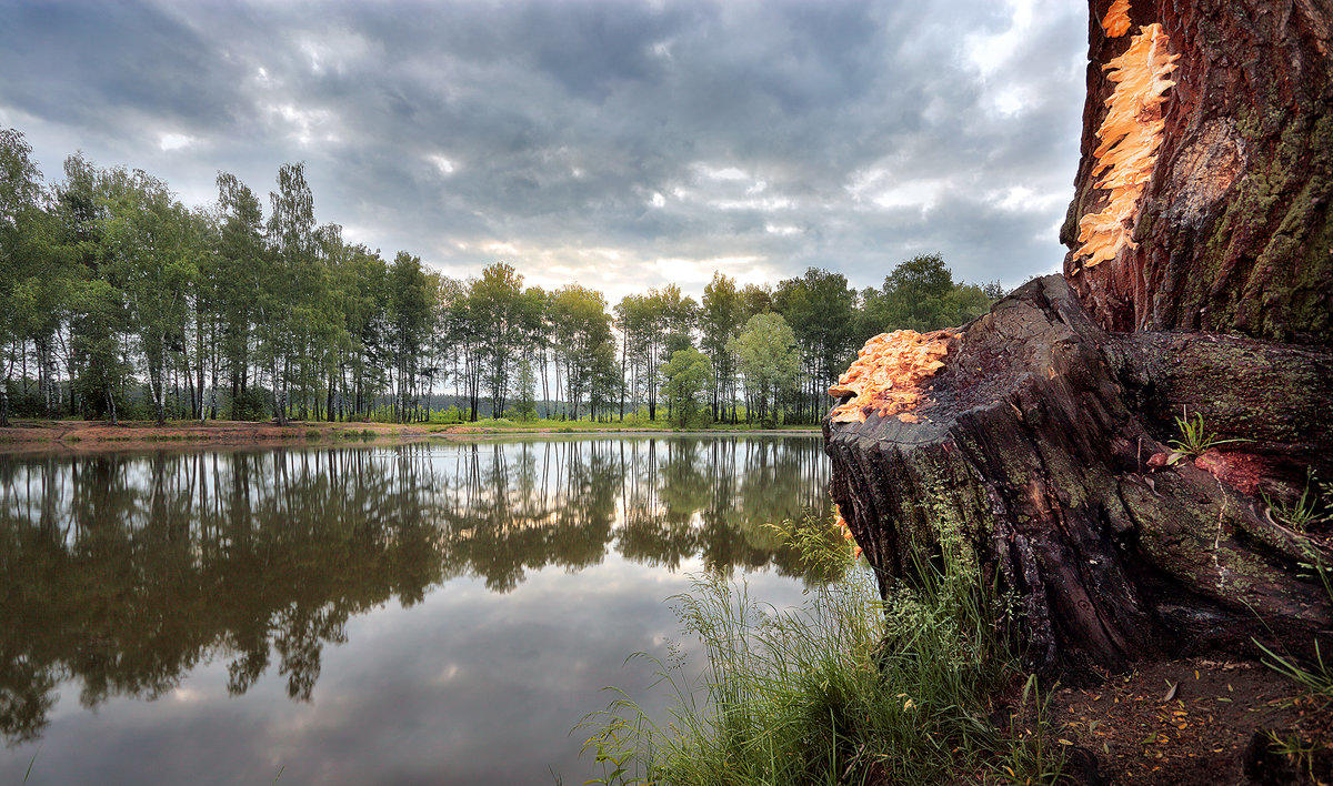 КУДА ПРОПАДАЕТ ЛЕТО?