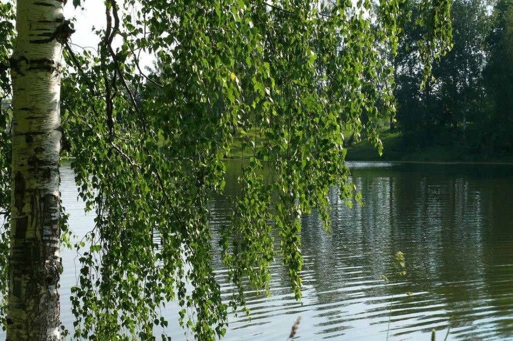 В НЕЗАБЫТОМ ДОЖДЕ.