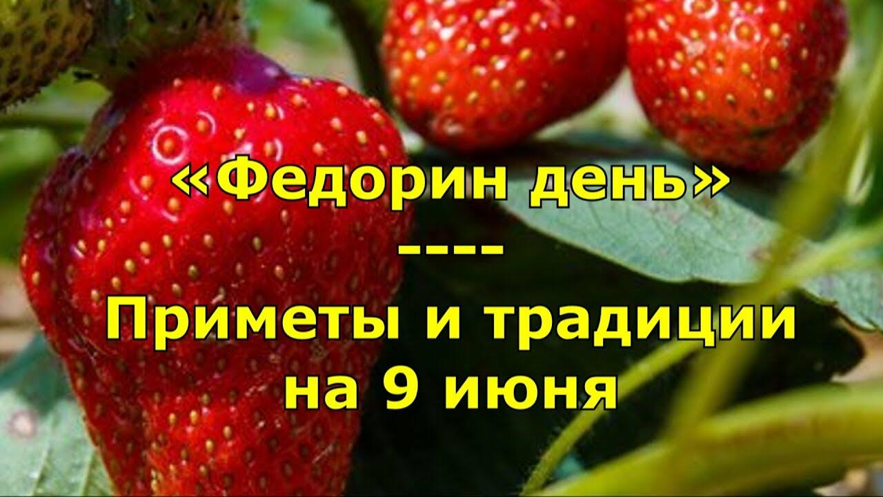 9 ИЮНЯ - ДЕНЬ ФЕДОРЫ