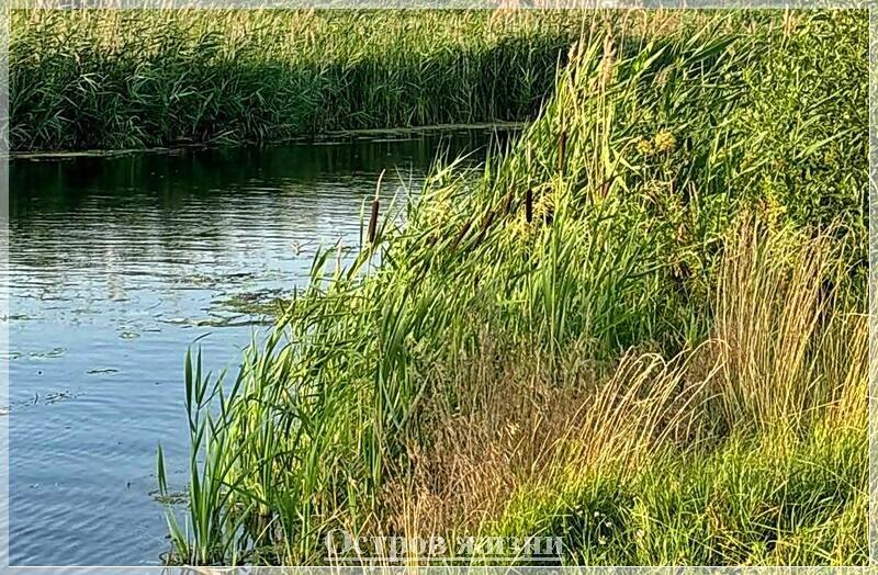 Личный разговор. Остров жизни