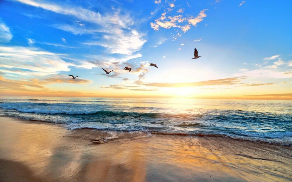 Моя жизнь - это море, моя жизнь - это небо