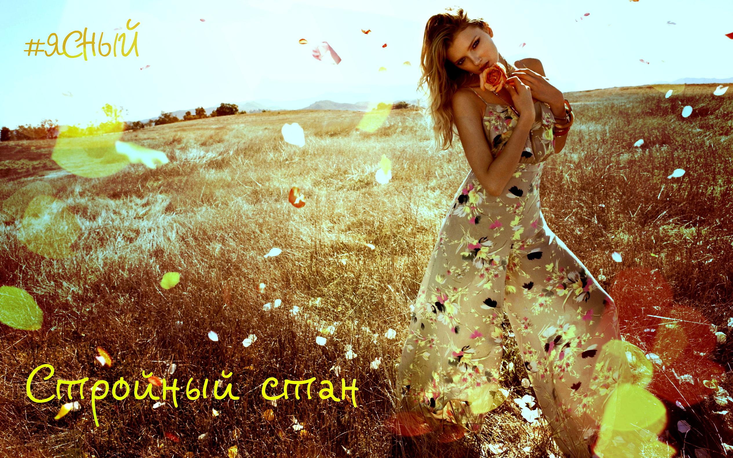 Стройный стан