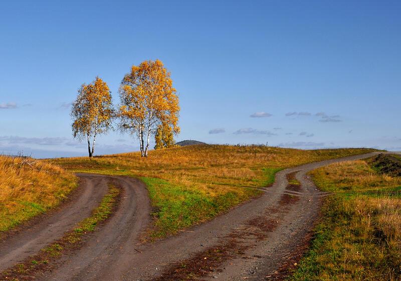 ПЕРВЫЙ МОРОЗЕЦ