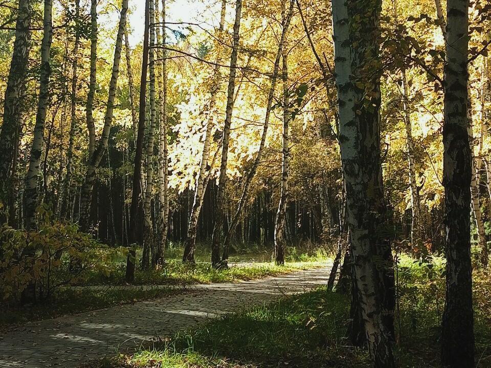 Обострение