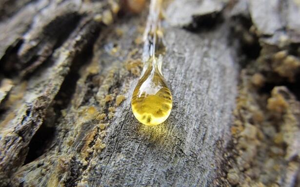 проснулся Март...