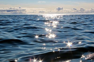 Солнечные зайчики.