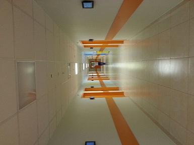 Fight For Life-And tomorrow... you... won t be-