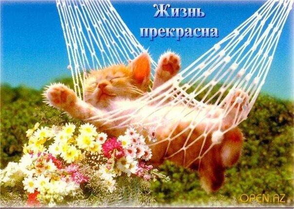 Весеннее Солнце