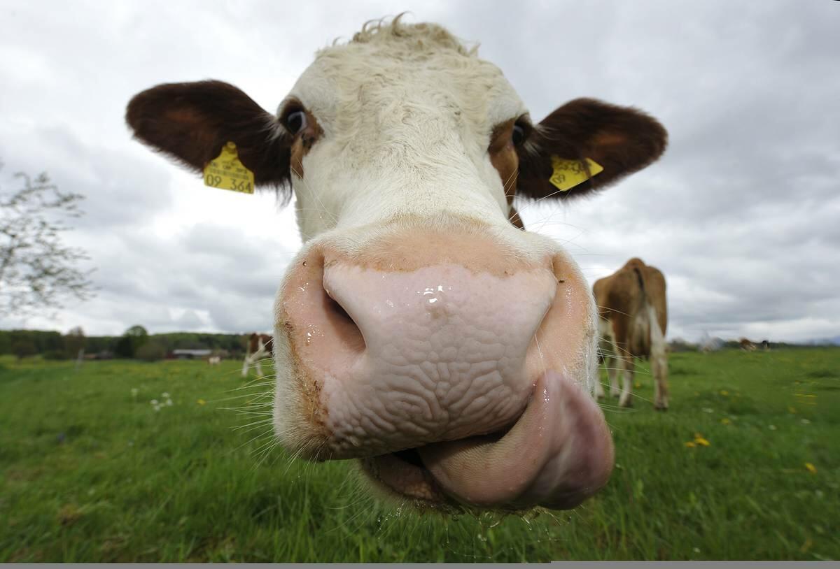 НАСТРОЕНИЕ ХМУРОГО УТРА