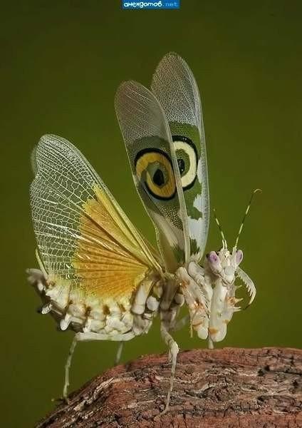 Воспитатель