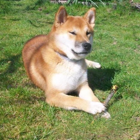 Прочь дилеммы