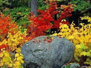 Хокку (камень)